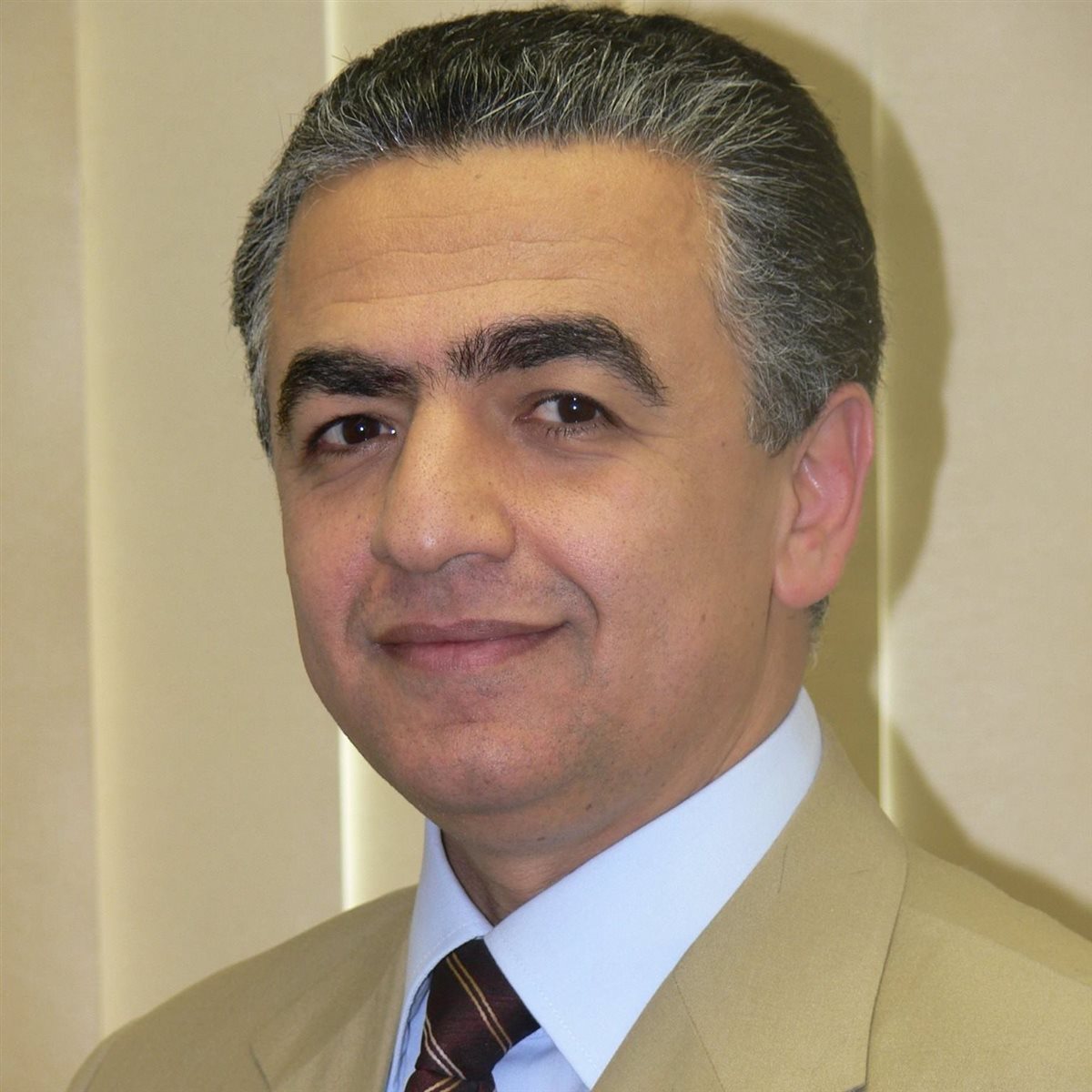 سعيد المصرى