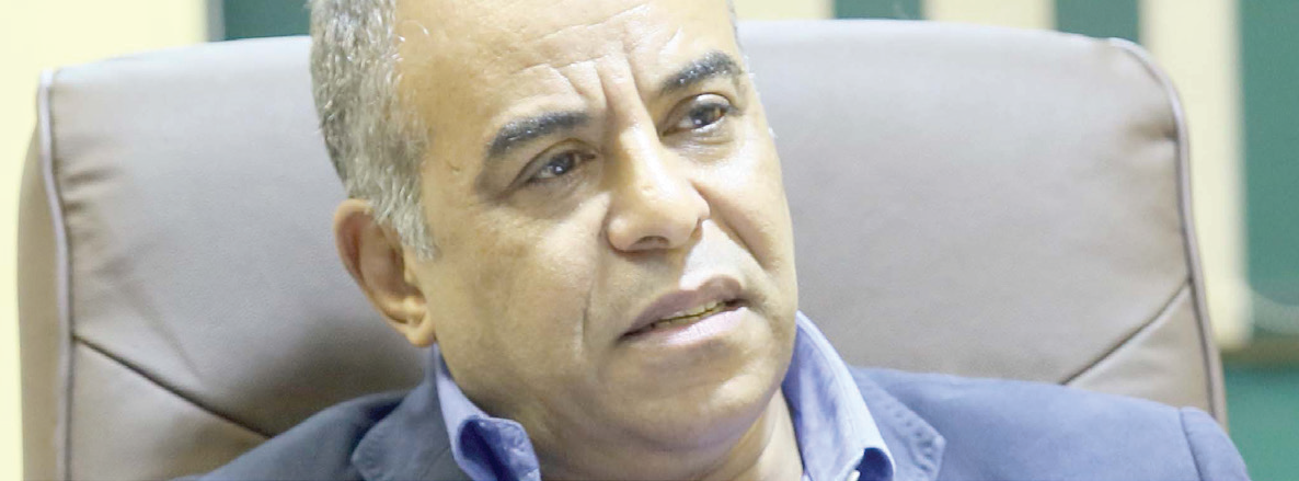 زين عبدالهادى