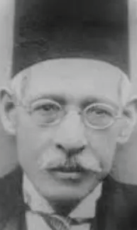 عبد العزيز فهمى