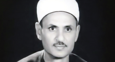 د. عبدالمنعم عايدى أبوالعينين