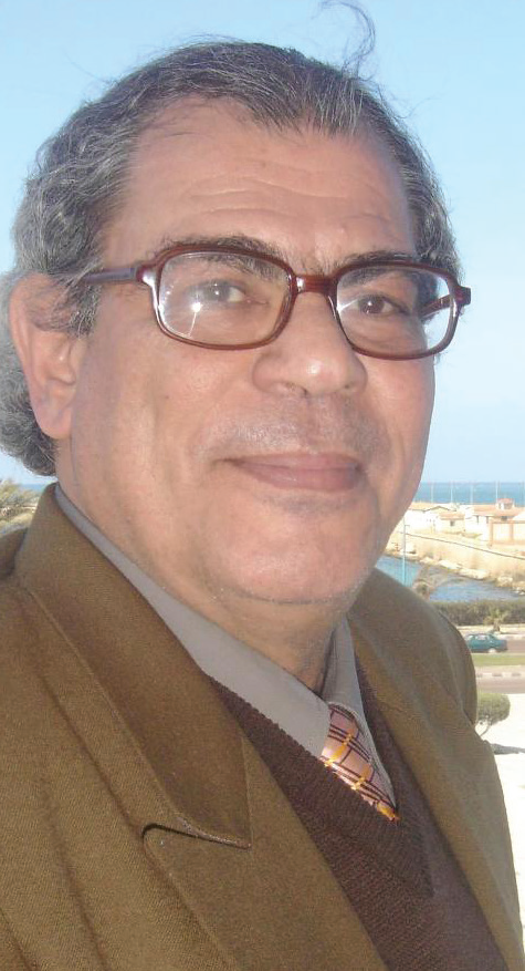 حلمى سالم