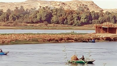 بيساو.. جزيرة مصرية لا تُعلم بناتِها بعد الإعدادية!