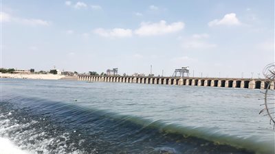 إبداعات من الغربية.. خصوبة  الأرض وهدير الإبداع  (2)