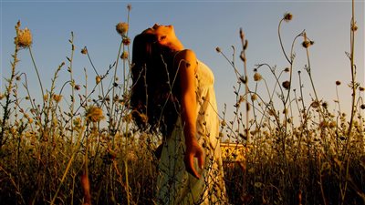 ســرد الصمت.. قراءة فى رواية «الشاميرا» لـ«هشام الفخرانى» 