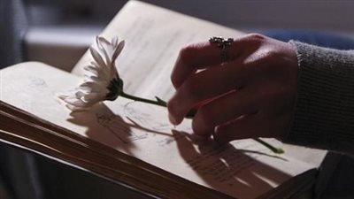 سيد الطيب يكتب: أسئلتى إليك