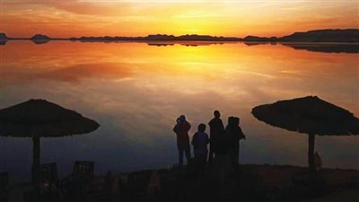 يا عندليب ما تخافش من غنوتك.. إبداعات الجامعات (15)