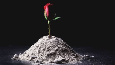 «ما يوقظ الرماد».. قصص قصيرة تنبش الذاكرة وتصطاد دهشة العادى