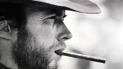 ماذا يقرأ العالم؟.. الطيب والشيطان والحمقاء..  فى المكتبات وعلى الشاشة