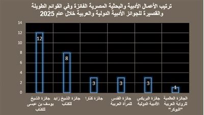 صيد الجوائز.. الأدب المصرى على الخريطة العربية والدولية فى 2025