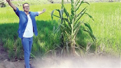 اللى ألف مامتش..  مصطفى أبوحسين.. احتفاء بكاتب سبق الموت روايته الأولى