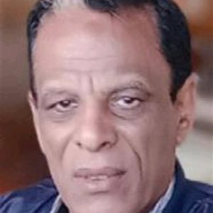 بهاء الدين حسن